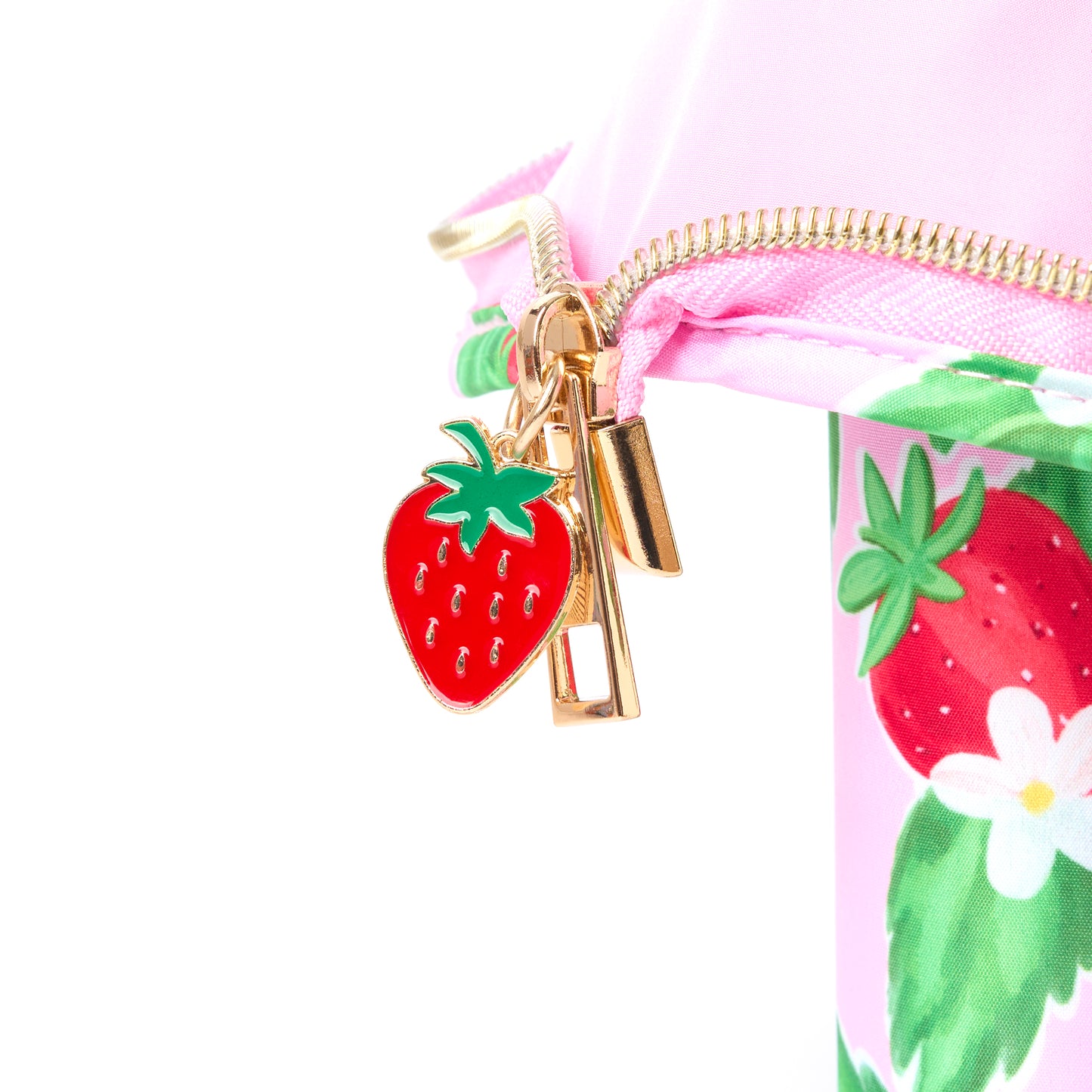 Summer Strawberries Standing Brush Case 