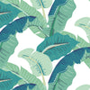 Tropical Leaves